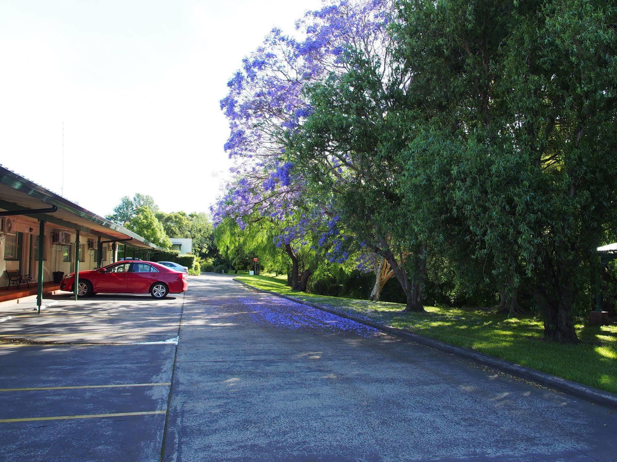 Solomon Inn Motel Figtree Wollongong Zewnętrze zdjęcie